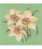 Elizabeth Bradley, Blooms, DAFFODILS - 16x16 pollici Elizabeth Bradley - 7