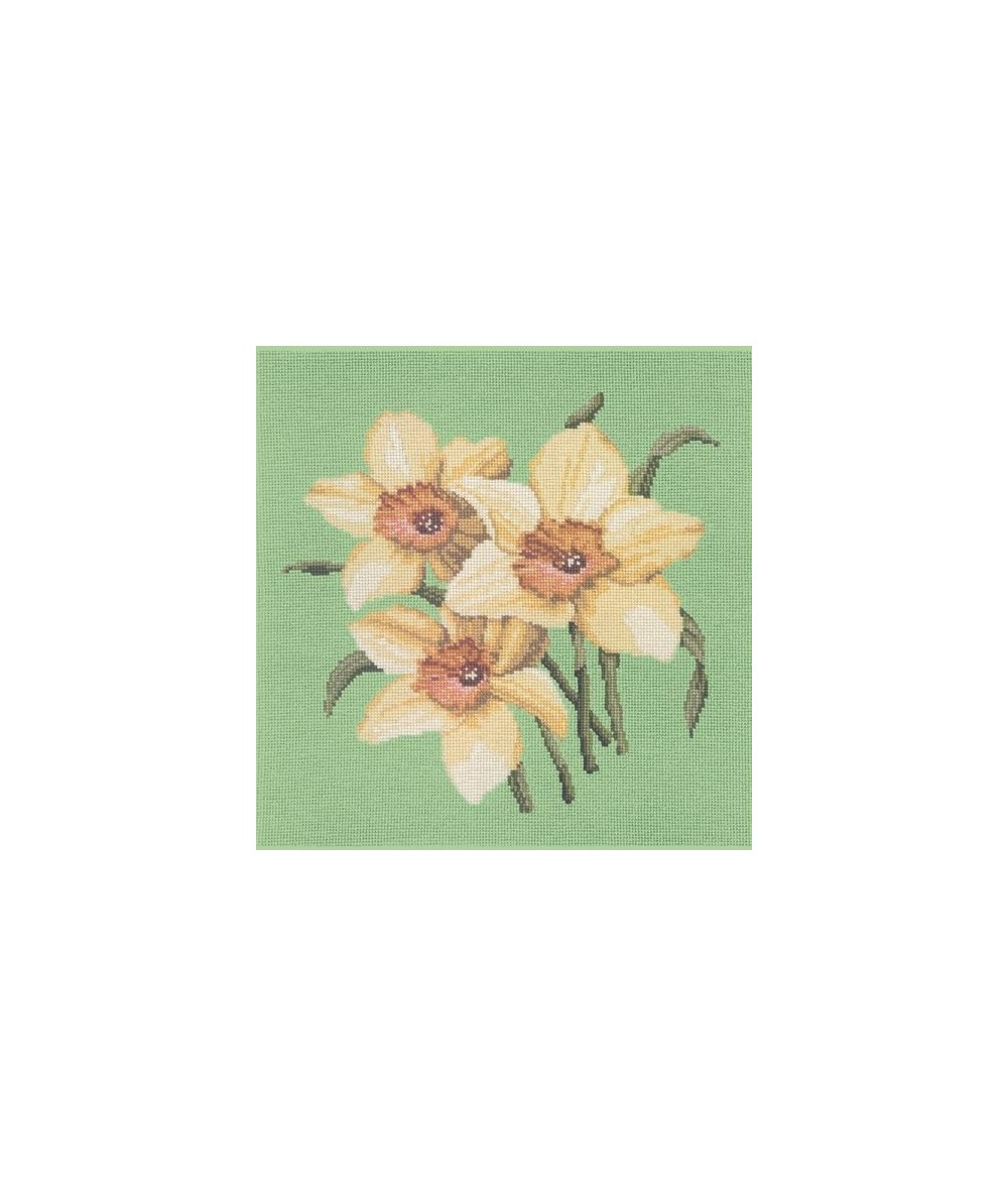 Elizabeth Bradley, Blooms, DAFFODILS - 16x16 pollici Elizabeth Bradley - 7