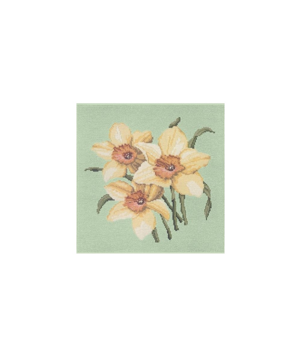Elizabeth Bradley, Blooms, DAFFODILS - 16x16 pollici Elizabeth Bradley - 9