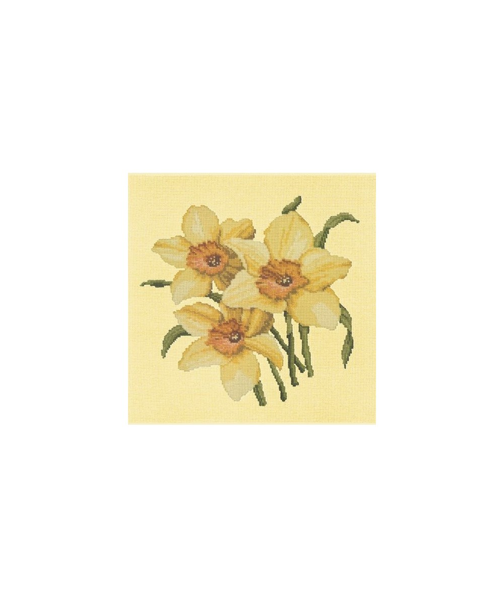 Elizabeth Bradley, Blooms, DAFFODILS - 16x16 pollici Elizabeth Bradley - 10