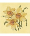Elizabeth Bradley, Blooms, DAFFODILS - 16x16 pollici Elizabeth Bradley - 10