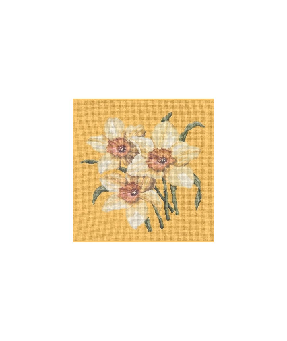 Elizabeth Bradley, Blooms, DAFFODILS - 16x16 pollici Elizabeth Bradley - 11
