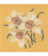 Elizabeth Bradley, Blooms, DAFFODILS - 16x16 pollici Elizabeth Bradley - 11