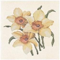 Elizabeth Bradley, Blooms, DAFFODILS - 16x16 pollici Elizabeth Bradley - 12