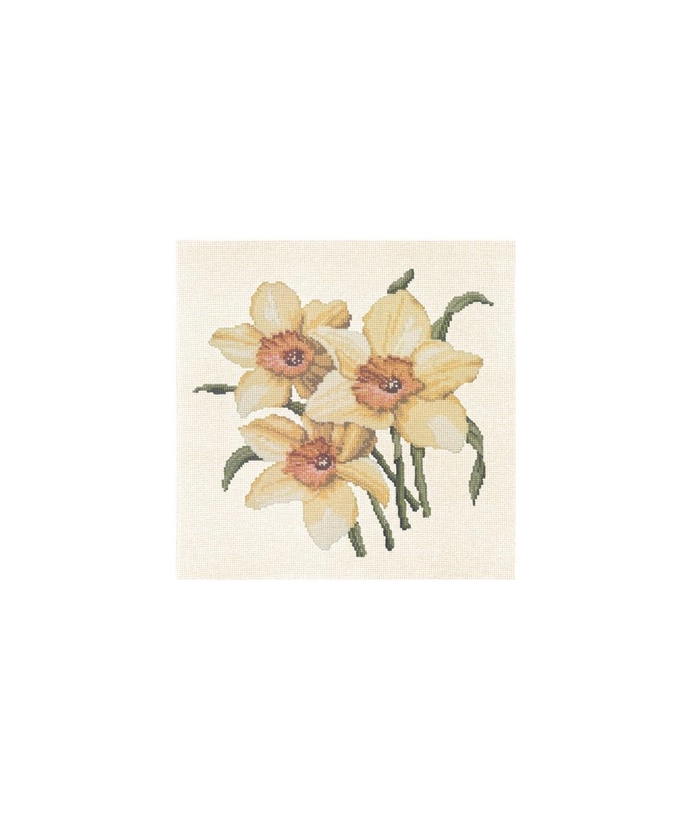 Elizabeth Bradley, Blooms, DAFFODILS - 16x16 pollici Elizabeth Bradley - 12