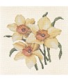 Elizabeth Bradley, Blooms, DAFFODILS - 16x16 pollici Elizabeth Bradley - 12