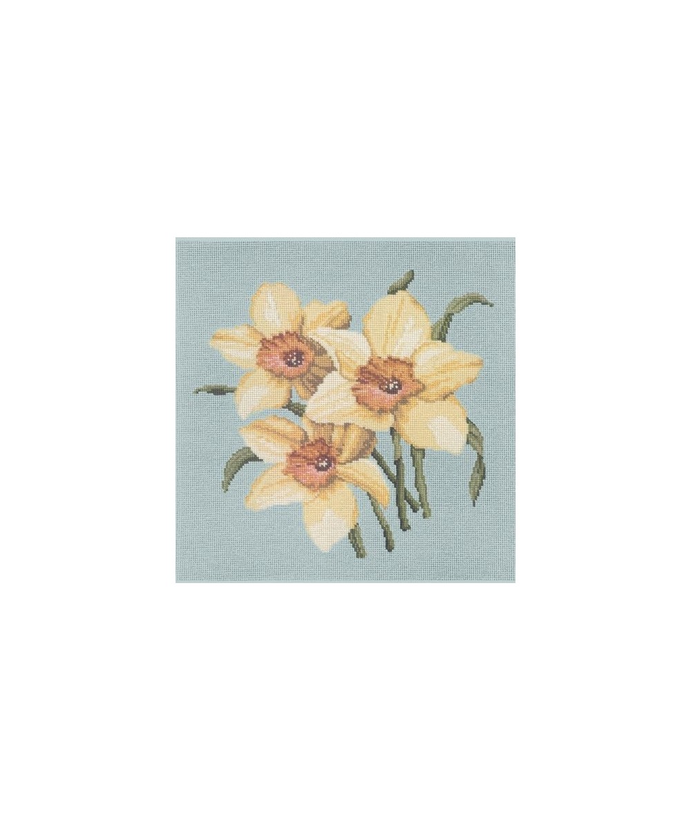Elizabeth Bradley, Blooms, DAFFODILS - 16x16 pollici Elizabeth Bradley - 14