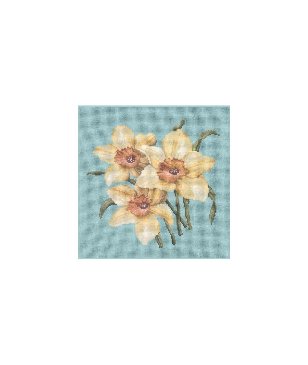 Elizabeth Bradley, Blooms, DAFFODILS - 16x16 pollici Elizabeth Bradley - 15