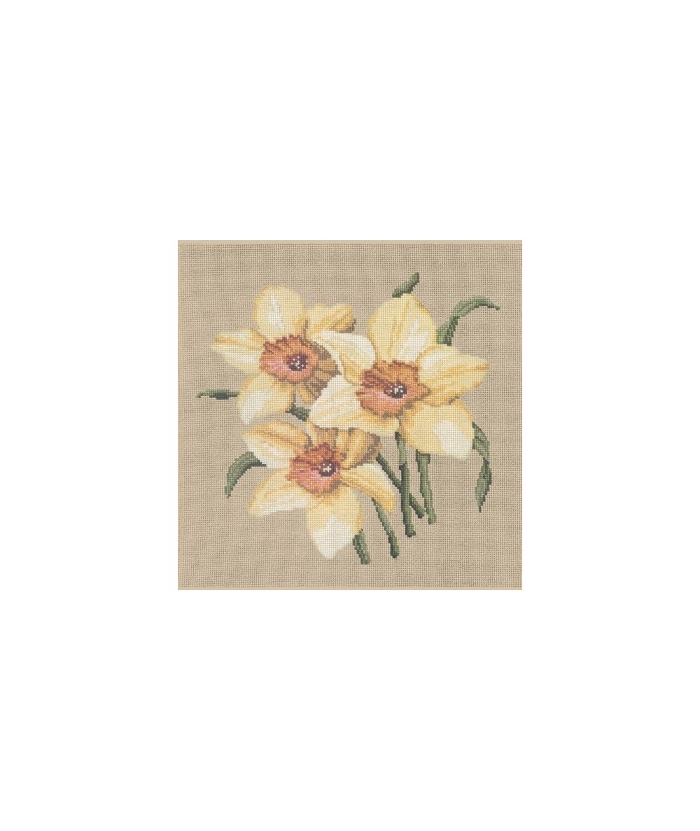 Elizabeth Bradley, Blooms, DAFFODILS - 16x16 pollici Elizabeth Bradley - 17
