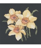 Elizabeth Bradley, Blooms, DAFFODILS - 16x16 pollici Elizabeth Bradley - 18