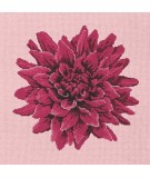 Elizabeth Bradley, Blooms, DAHLIA - 16x16 pollici Elizabeth Bradley - 2
