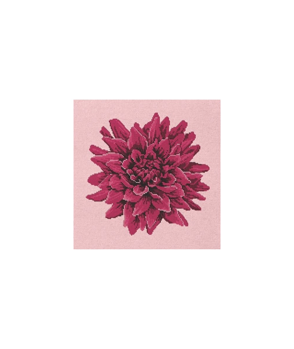 Elizabeth Bradley, Blooms, DAHLIA - 16x16 pollici Elizabeth Bradley - 2 Elizabeth Bradley, Blooms, DAHLIA - 16x16 pollici Elizabeth Bradley - 2