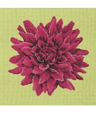 Elizabeth Bradley, Blooms, DAHLIA - 16x16 pollici Elizabeth Bradley - 8