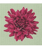 Elizabeth Bradley, Blooms, DAHLIA - 16x16 pollici Elizabeth Bradley - 9