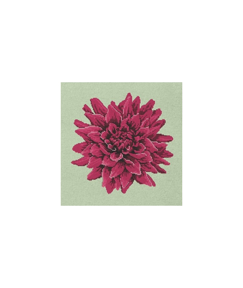 Elizabeth Bradley, Blooms, DAHLIA - 16x16 pollici Elizabeth Bradley - 9