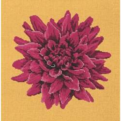 Elizabeth Bradley, Blooms, DAHLIA - 16x16 pollici Elizabeth Bradley - 11