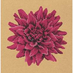Elizabeth Bradley, Blooms, DAHLIA - 16x16 pollici Elizabeth Bradley - 13