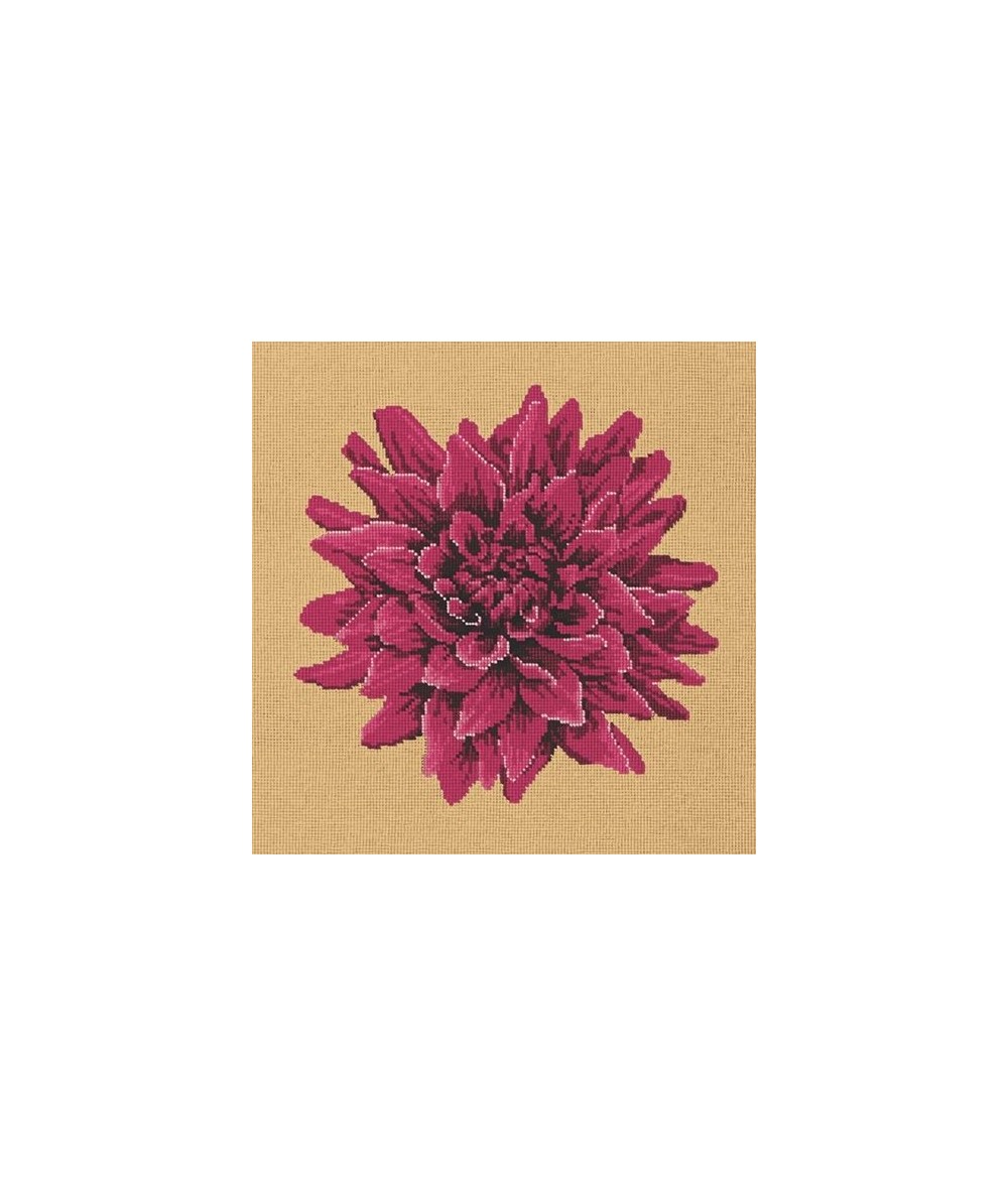 Elizabeth Bradley, Blooms, DAHLIA - 16x16 pollici Elizabeth Bradley - 13