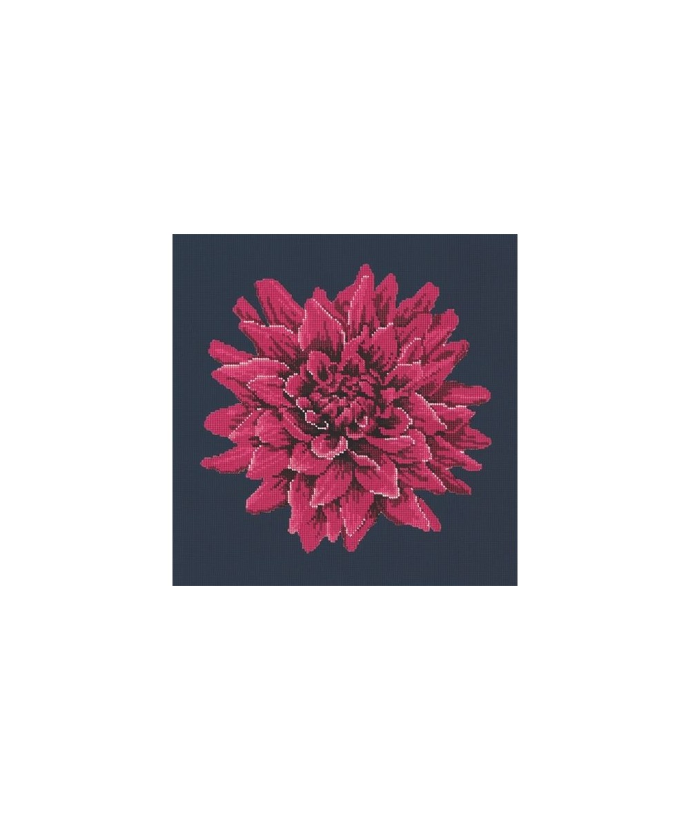 Elizabeth Bradley, Blooms, DAHLIA - 16x16 pollici Elizabeth Bradley - 16