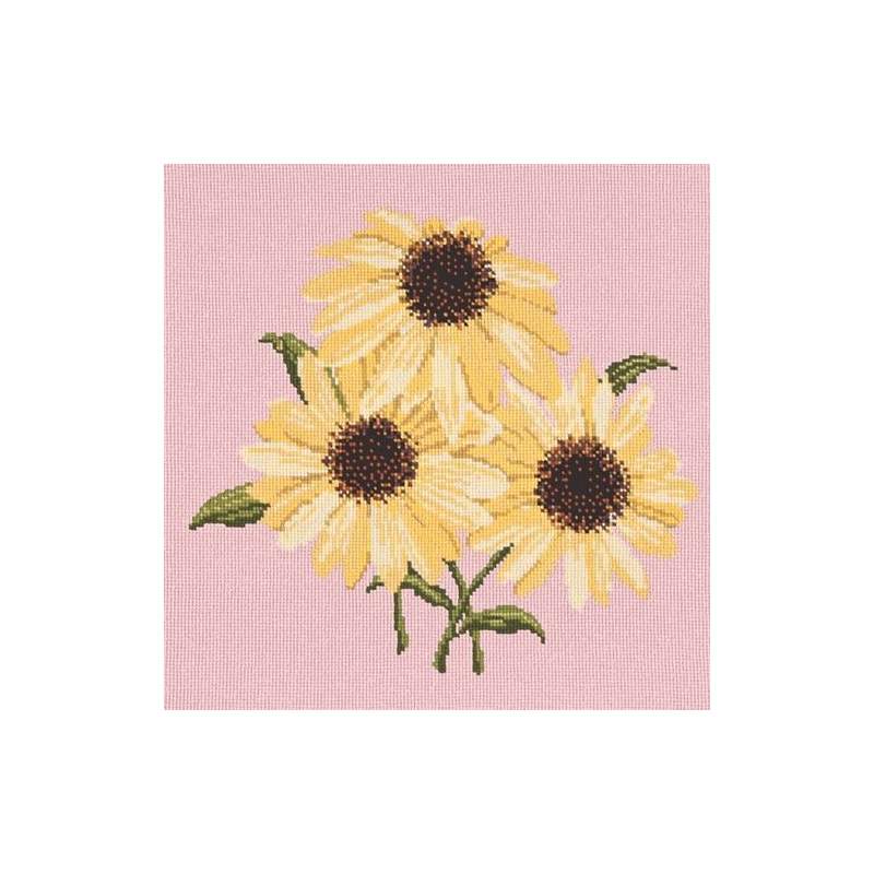 Elizabeth Bradley, Blooms, ECHINACEAS - 16x16 pollici Elizabeth Bradley - 2 Elizabeth Bradley, Blooms, ECHINACEAS - 16x16 pollici Elizabeth Bradley - 2