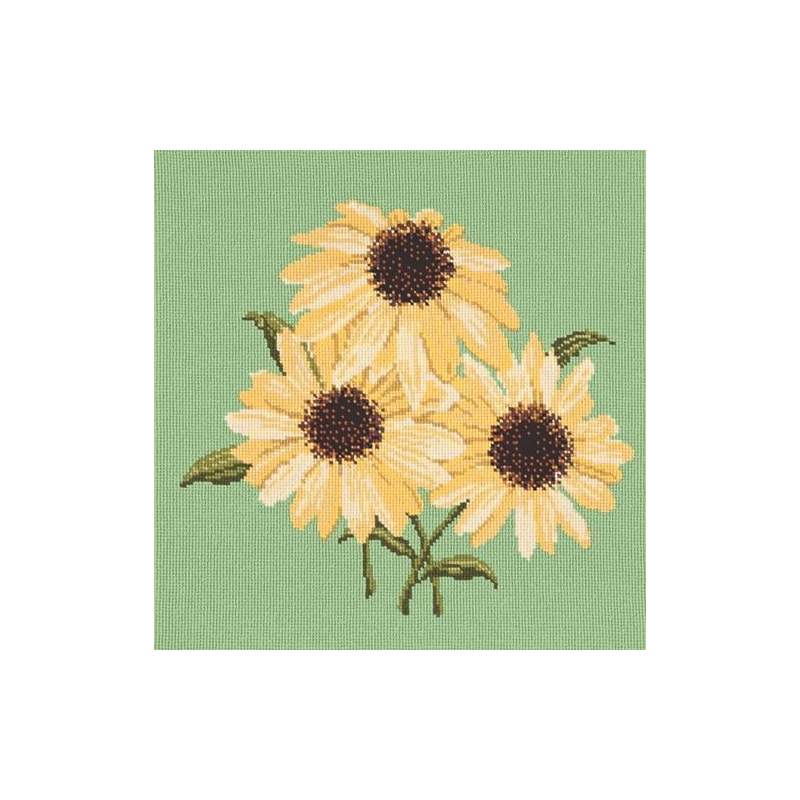 Elizabeth Bradley, Blooms, ECHINACEAS - 16x16 pollici Elizabeth Bradley - 7
