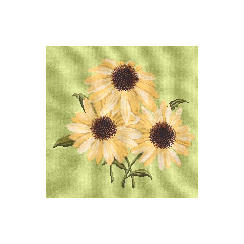 Elizabeth Bradley, Blooms, ECHINACEAS - 16x16 pollici Elizabeth Bradley - 8