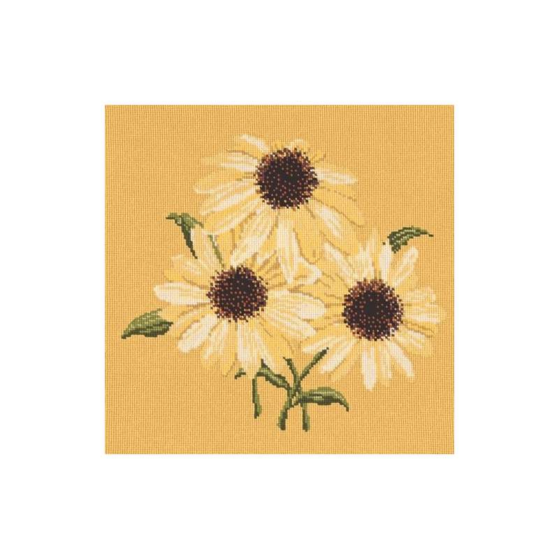 Elizabeth Bradley, Blooms, ECHINACEAS - 16x16 pollici Elizabeth Bradley - 11
