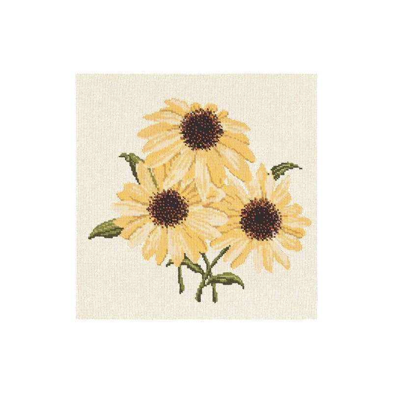 Elizabeth Bradley, Blooms, ECHINACEAS - 16x16 pollici Elizabeth Bradley - 12
