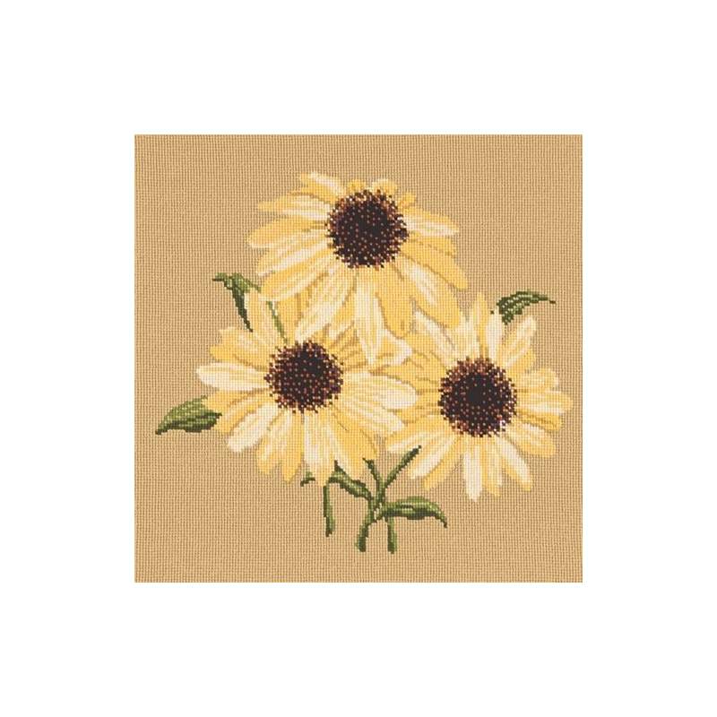 Elizabeth Bradley, Blooms, ECHINACEAS - 16x16 pollici Elizabeth Bradley - 13