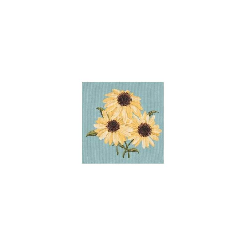 Elizabeth Bradley, Blooms, ECHINACEAS - 16x16 pollici Elizabeth Bradley - 15