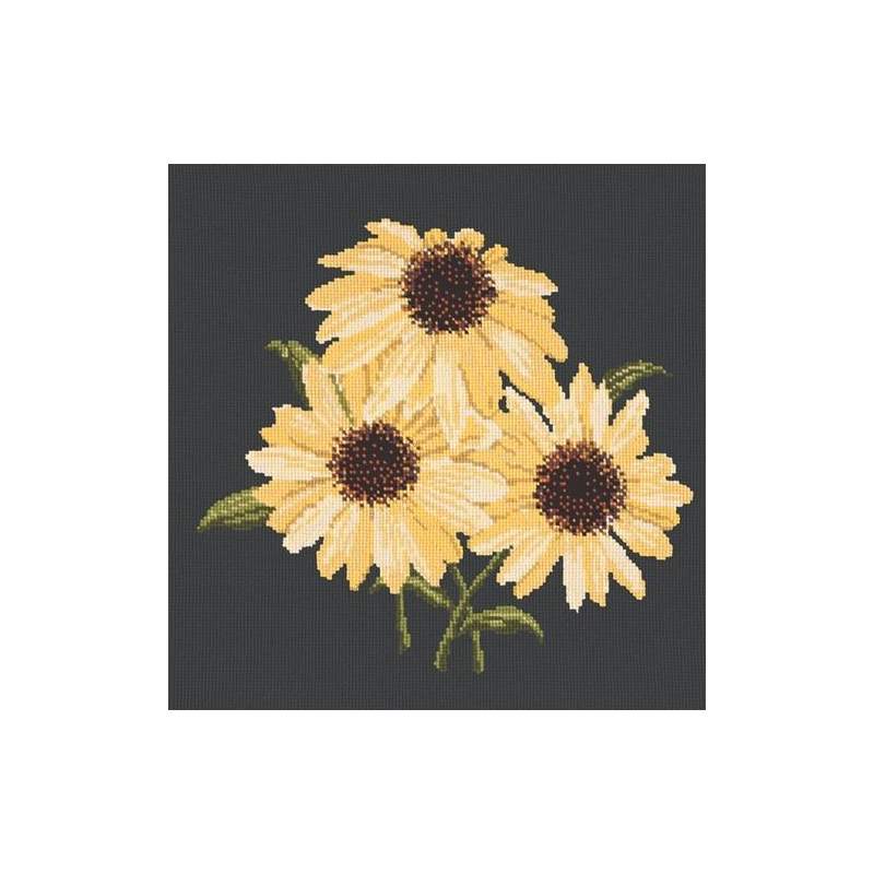 Elizabeth Bradley, Blooms, ECHINACEAS - 16x16 pollici Elizabeth Bradley - 18