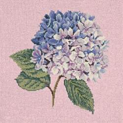 Elizabeth Bradley, Blooms, HYDRANGEA - 16x16 pollici Elizabeth Bradley - 2