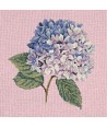 Elizabeth Bradley, Blooms, HYDRANGEA - 16x16 pollici Elizabeth Bradley - 2