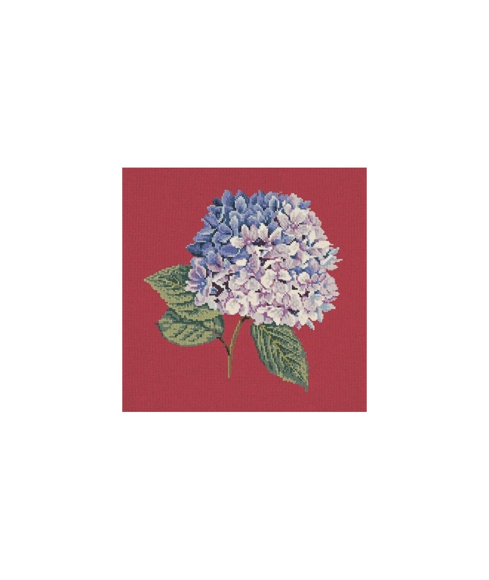 Elizabeth Bradley, Blooms, HYDRANGEA - 16x16 pollici Elizabeth Bradley - 4