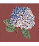 Elizabeth Bradley, Blooms, HYDRANGEA - 16x16 pollici Elizabeth Bradley - 5