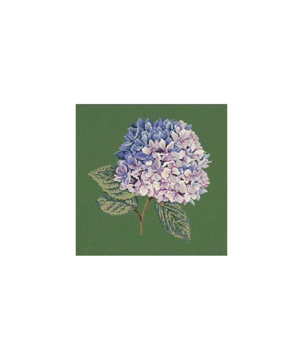 Elizabeth Bradley, Blooms, HYDRANGEA - 16x16 pollici Elizabeth Bradley - 6