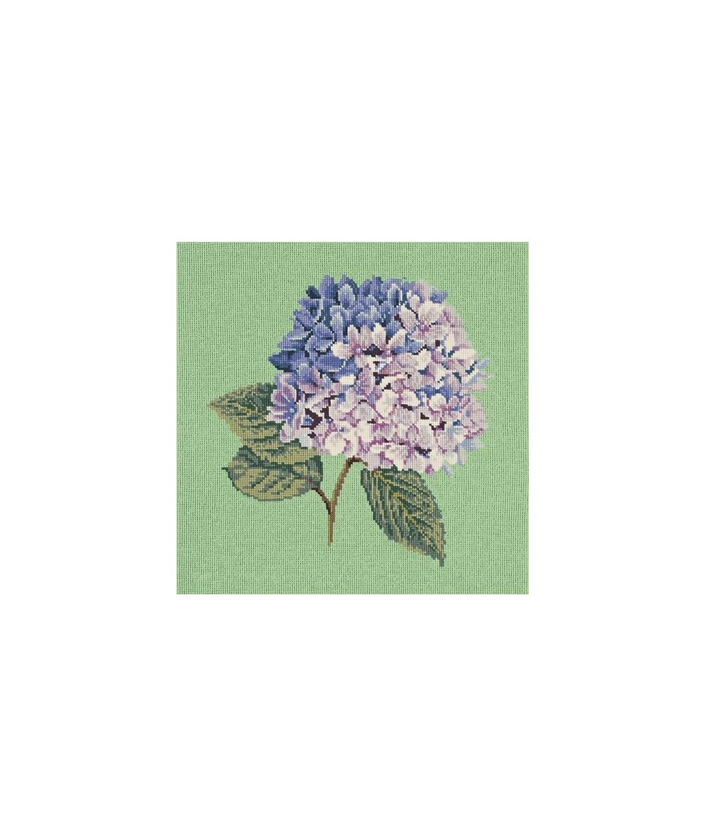 Elizabeth Bradley, Blooms, HYDRANGEA - 16x16 pollici Elizabeth Bradley - 7