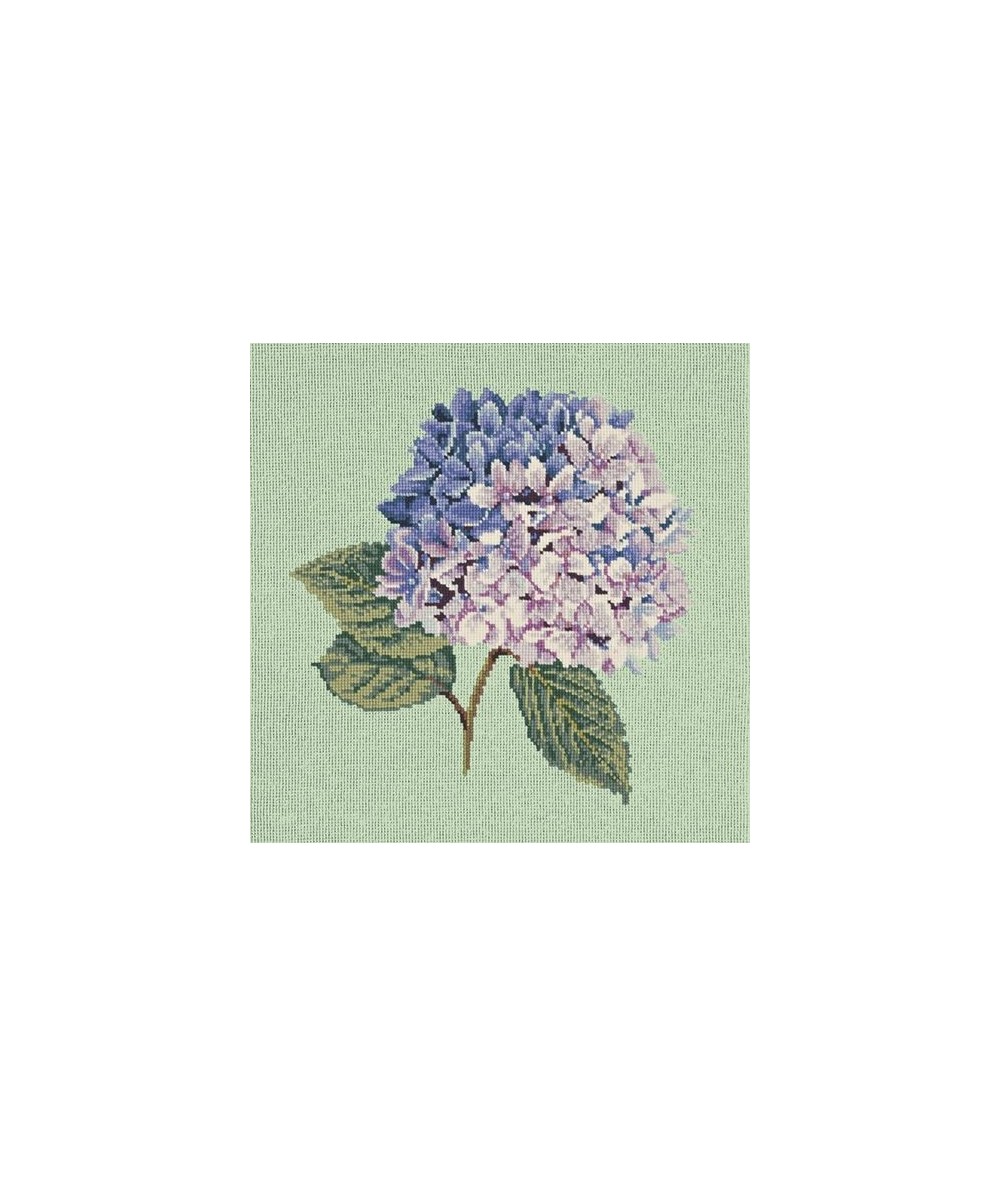 Elizabeth Bradley, Blooms, HYDRANGEA - 16x16 pollici Elizabeth Bradley - 9