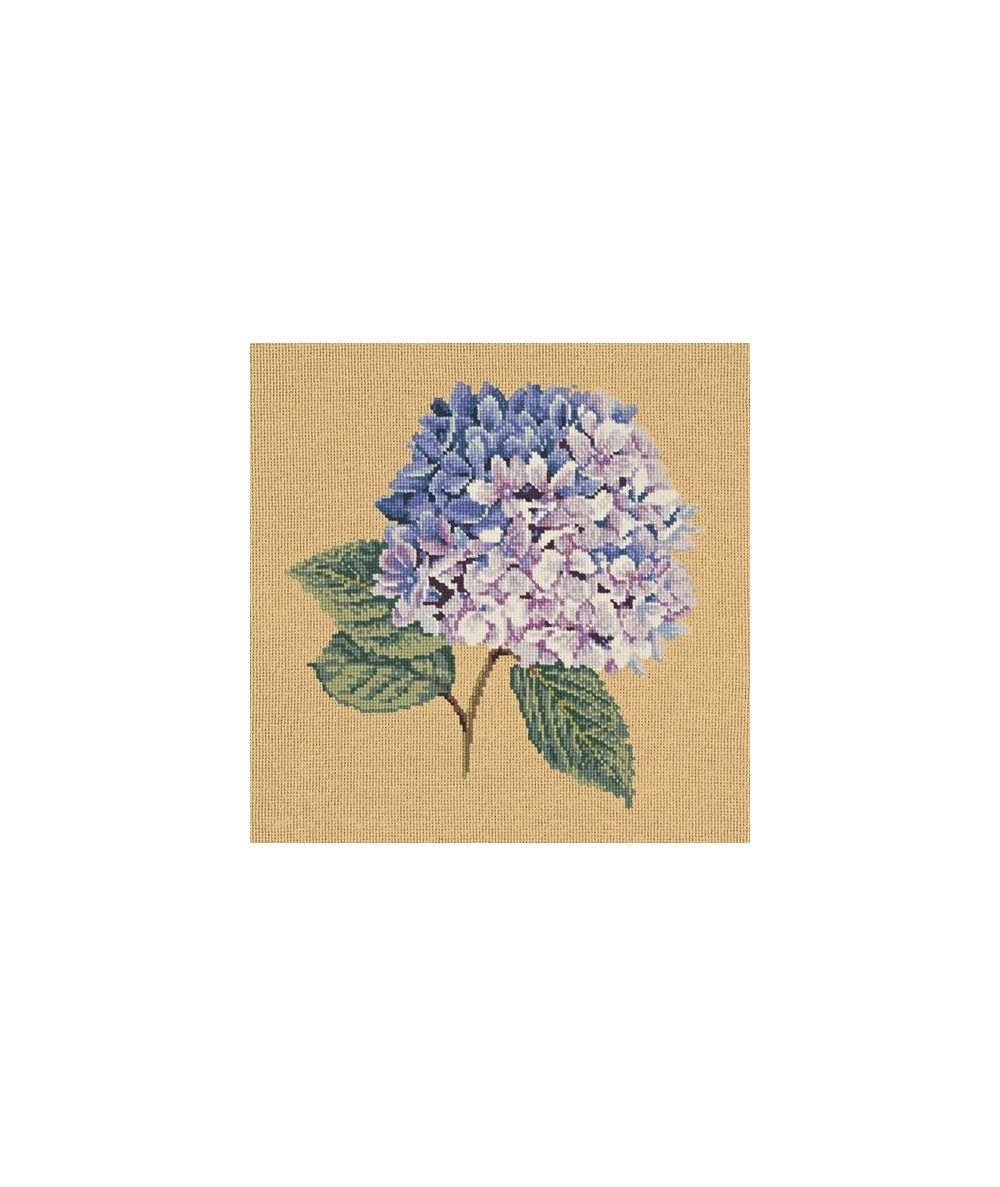Elizabeth Bradley, Blooms, HYDRANGEA - 16x16 pollici Elizabeth Bradley - 13