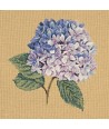 Elizabeth Bradley, Blooms, HYDRANGEA - 16x16 pollici Elizabeth Bradley - 13