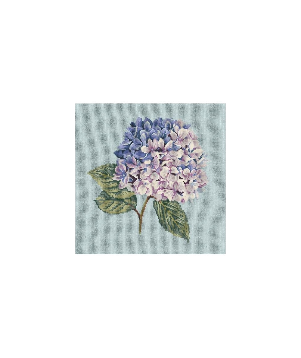 Elizabeth Bradley, Blooms, HYDRANGEA - 16x16 pollici Elizabeth Bradley - 14