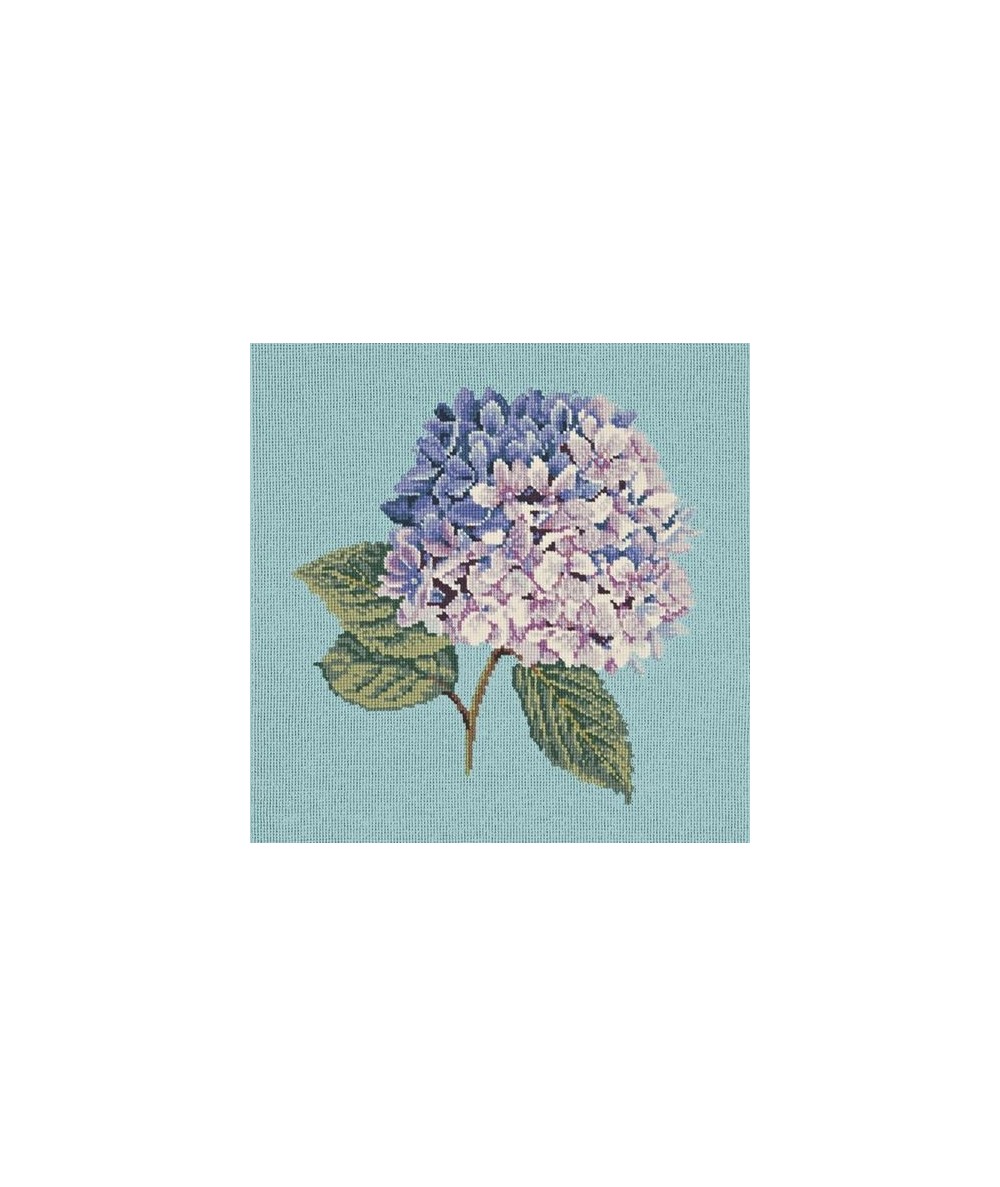 Elizabeth Bradley, Blooms, HYDRANGEA - 16x16 pollici Elizabeth Bradley - 15