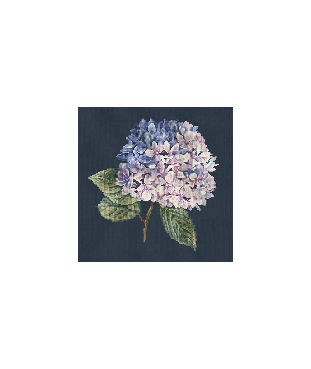 Elizabeth Bradley, Blooms, HYDRANGEA - 16x16 pollici Elizabeth Bradley - 16