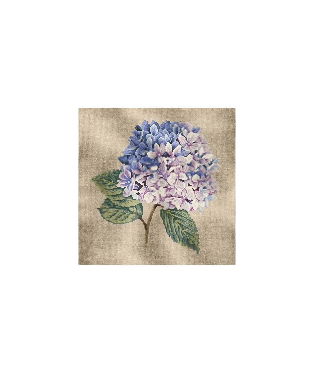 Elizabeth Bradley, Blooms, HYDRANGEA - 16x16 pollici Elizabeth Bradley - 17