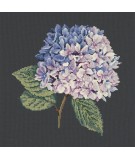 Elizabeth Bradley, Blooms, HYDRANGEA - 16x16 pollici Elizabeth Bradley - 18