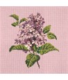Elizabeth Bradley, Blooms, LILIAC - 16x16 pollici Elizabeth Bradley - 2