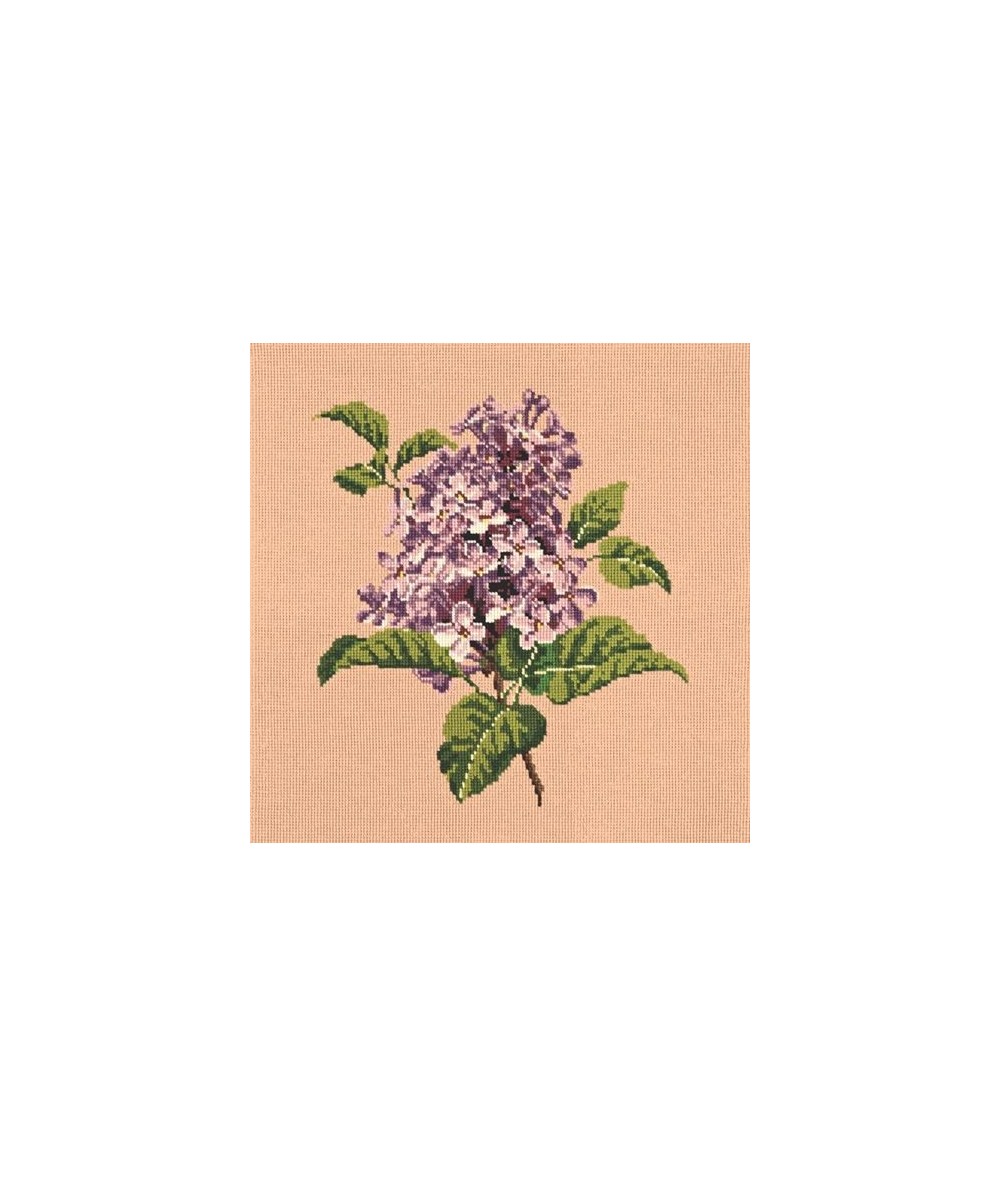 Elizabeth Bradley, Blooms, LILIAC - 16x16 pollici Elizabeth Bradley - 3