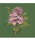 Elizabeth Bradley, Blooms, LILIAC - 16x16 pollici Elizabeth Bradley - 6