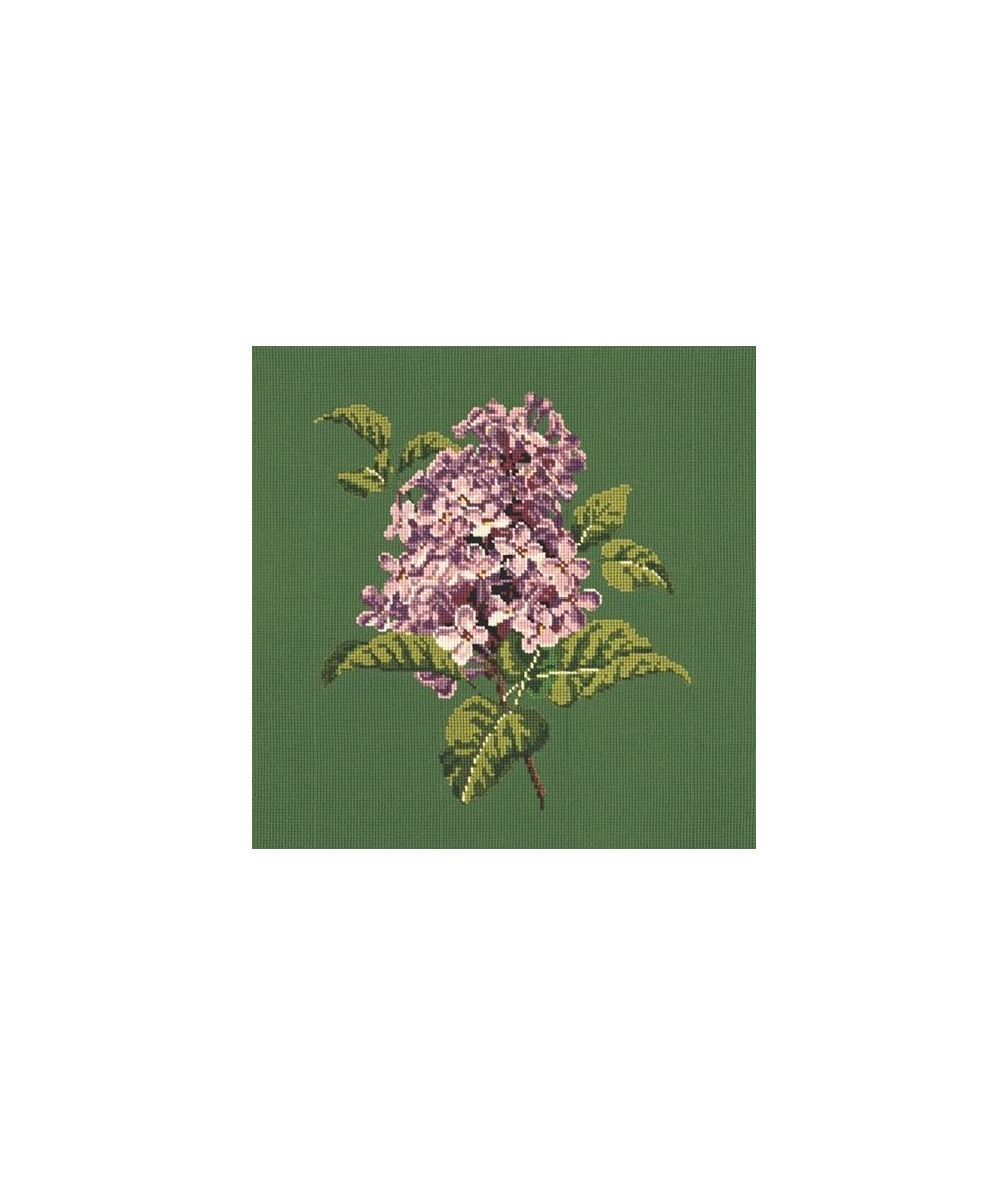 Elizabeth Bradley, Blooms, LILIAC - 16x16 pollici Elizabeth Bradley - 6