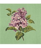Elizabeth Bradley, Blooms, LILIAC - 16x16 pollici Elizabeth Bradley - 7